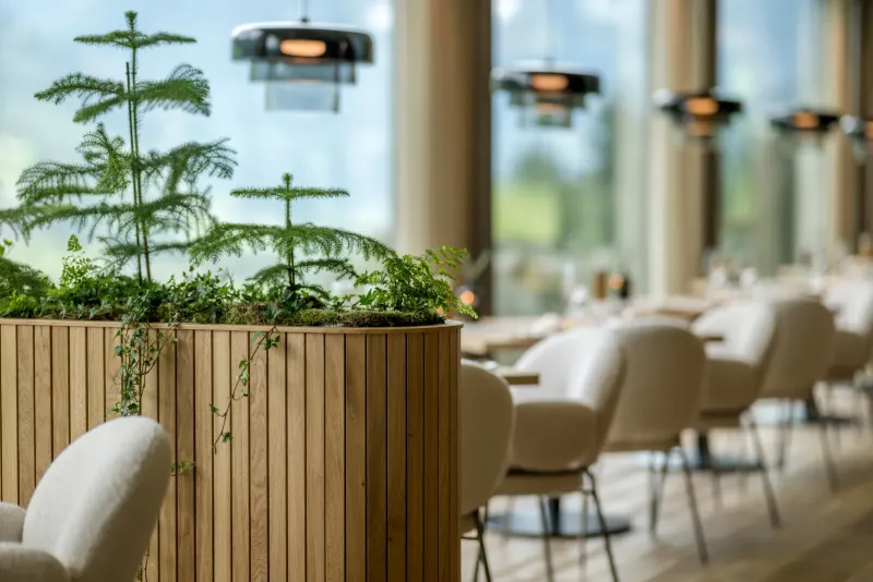 Restaurantbereich – Pflanzenteiler